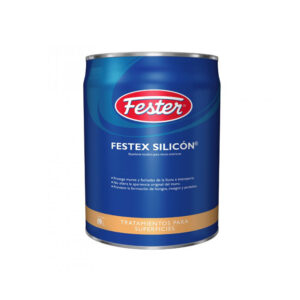 FESTEX SILICÓN 19L